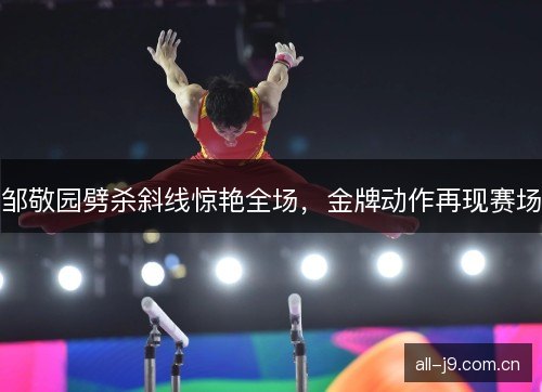 邹敬园劈杀斜线惊艳全场，金牌动作再现赛场